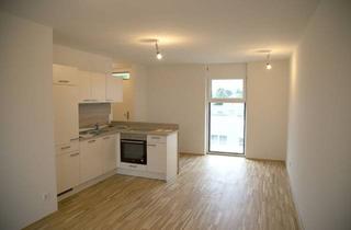 Wohnung mieten in 8041 Graz, Dachgeschosswohnung mit traumhafter Terrasse und Tiefgaragenparkplatz in Liebenau