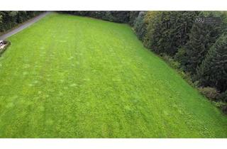 Grundstück zu kaufen in Feldbach, 8334 Riegersburg, 11.400 m² Grundstück in Lödersdorf - Ideal für Agri-PV