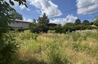 Grundstück zu kaufen in Thayagasse, 1210 Wien, Unbebautes, sonniges Grundstück auf EIGENGRUND in schöner Kleingartenanlage, 1210!