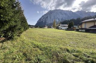 Grundstück zu kaufen in 8982 Tauplitz, Großes Grundstück in Tauplitz mit direktem Grimmingblick