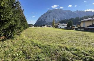 Grundstück zu kaufen in 8982 Tauplitz, Großes Grundstück in Tauplitz mit direktem Grimmingblick