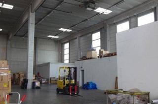 Gewerbeimmobilie mieten in 2351 Wiener Neudorf, 298 m² Lagerhalle | Nähe A2