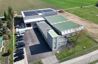Gewerbeimmobilie kaufen in 2293 Marchegg, Modernes Betriebsobjekt mit Zubaupotenzial auf 6.712 m² Grund