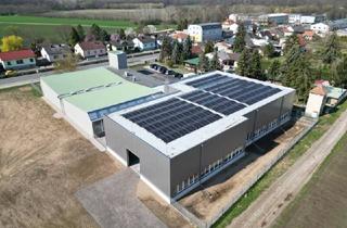 Immobilie kaufen in 2293 Marchegg, Modernes Betriebsobjekt mit Zubaupotenzial auf 6.712 m² Grund