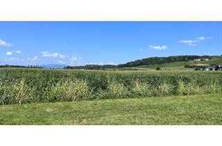 Haus kaufen in 8271 Bad Waltersdorf, Wohnen wie im Paradies - Luxuriöse Einfamilienhäuser in der Thermen Region Bad Waltersdorf.