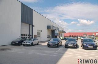 Büro zu mieten in 2351 Wiener Neudorf, Ebenerdige Lagerhalle mit 294m² im IZ-Süd | auch Büros verfügbar
