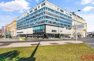 Büro zu mieten in 1010 Wien, Modernes Büro in repräsentativem Gebäude im 1.Bezirk, 1010 Wien zu mieten