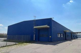 Lager mieten in Perfektastraße, 1230 Wien, Lagerhalle und kleines Büro in zentrale Lage