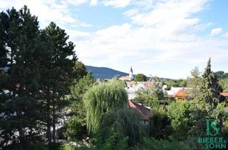 Einfamilienhaus kaufen in Leesdorferstrasse, 2512 Traiskirchen, Großzügiges, sonniges Einfamilienhaus mit 80m² Dachterrasse