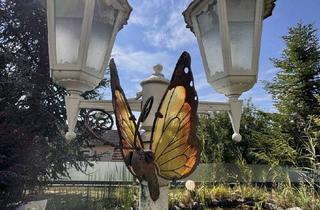 Haus kaufen in 3390 Melk, Wohlfühl-Oase nähe Melk, charmantes Haus in sehr guter Lage in Pielachberg/ Melk zu verkaufen!