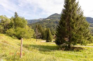 Grundstück zu kaufen in Ebnit, 6850 Dornbirn / Ebnit, Ankommen und Ausspannen auf 950 m² Naturglück