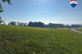 Grundstück zu kaufen in 4730 Waizenkirchen, Landwirtschaftliche Nutzfläche nahe Waizenkirchen/Peuerbach
