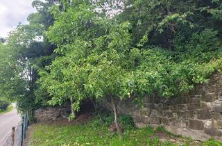 Grundstück zu kaufen in 3160 Traisen, "1,2,3 - der Herbst ist bald vorbei!"