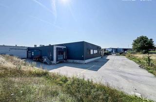 Gewerbeimmobilie kaufen in 3484 Grafenwörth, Produktionsliegenschaft direkt an der S5