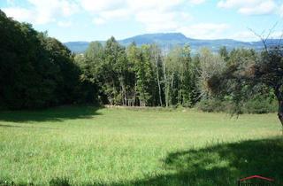 Grundstück zu kaufen in 8062 Kumberg, RUHELAGE - Großes, sonniges Grundstück mit Blick auf den Schöckel!