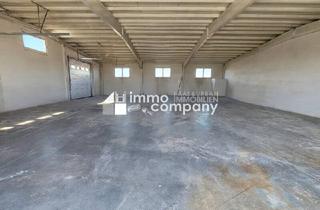 Immobilie mieten in 2442 Unterwaltersdorf, 3x 423m²-Lagerhalle in Unterwaltersdorf zu vermieten!