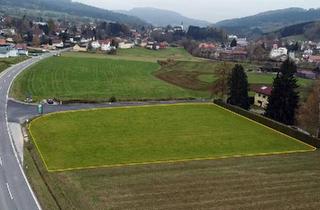 Grundstück zu kaufen in 3683 Yspertal, Großes BAUGRUNDSTÜCK im Yspertal - Widmung Bauland/Wohnen