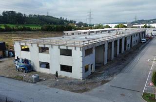 Büro zu mieten in Frischeisstraße 12, 4490 Sankt Florian, Top Betriebs- / Lagerhallen von 59 - 230 m² Fläche im FE Business Park St. Florian / Asten zu vermieten, 1A-Lage Nähe A1 - PROVISIONSFREI! (Top 11a)