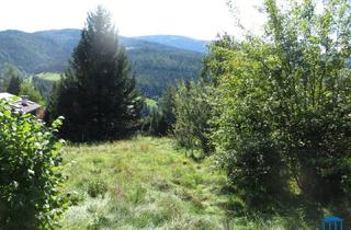 Grundstück zu kaufen in 8684 Spital am Semmering, Baugrund am Semmering mit Ausblick