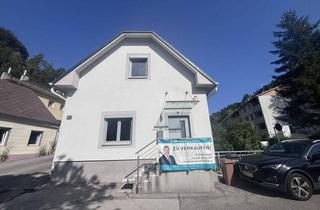 Wohnung kaufen in 2391 Kaltenleutgeben, Haus in Grünruhelage!