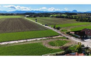 Grundstück zu kaufen in 4652 Steinerkirchen an der Traun, Sonniges Gundstück mit Fernblick | Steinerkirchen Frohnhofen | GST-Nr. 1100/4