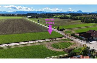 Grundstück zu kaufen in 4652 Steinerkirchen an der Traun, Sonniges Gundstück mit Fernblick | Steinerkirchen Frohnhofen | GST-Nr. 1100/4