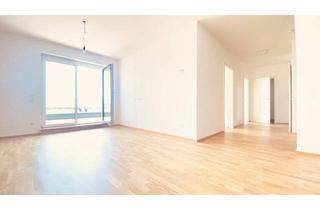 Wohnung mieten in Bründlgraben 47A, 3500 Krems an der Donau, Neubau Erstbezug Drei Zimmer Terrassenwohnung mit Fernblick