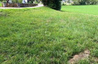 Grundstück zu kaufen in 9150 Bleiburg, SONNIGER GRUND IN TOLLER LAGE