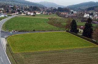 Grundstück zu kaufen in 3683 Yspertal, Großes BAUGRUNDSTÜCK im Yspertal - Widmung Bauland/Wohnen
