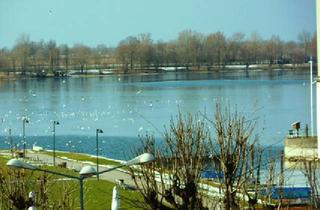 Wohnung mieten in 6971 Hard, HARD, Kirchstraße 16 - wunderbare 3-Zimmmerwohnung mit toller Aussicht auf den Bodensee zu vermieten