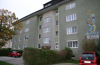 Wohnung mieten in Am Mittergwendt 13-19, 3430 Tulln an der Donau, Single / Pärchen 1 Zimmer Wohnung, Provisionsfrei