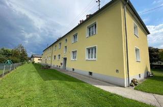 Wohnung mieten in Griesstraße, 4710 Grieskirchen, Praktisch geschnittene 2-Raum-Wohnung in zentraler Lage von Grieskirchen - HIGHLIGHT: separate Küche mit Fenster.
