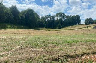 Grundstück zu kaufen in 4631 Krenglbach, Mehrere Baugründe in Ruhelage in Haiding 698 m2 und 1343 m2 und 896 m2