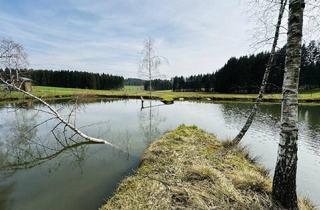 Grundstück zu kaufen in 4240 Freistadt, Idyllisches Freizeitdomizil in absoluter Ruhelage – Ein Paradies für Naturliebhaber