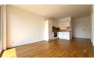 Wohnung mieten in 2700 Wiener Neustadt, Günstige Neubauwohnung mit großer West-Loggia (5,72m²) nahe Akademiepark