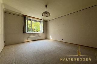Wohnung kaufen in Amalienstraße, 1130 Wien, Charmante Wohnung mit Potential in zentraler Lage – Amalienstraße