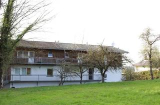 Wohnung mieten in Fesslers 19, 6914 Hohenweiler, Schöne, großzügige 1,5-Zimmer-Wohnung in Hohenweiler