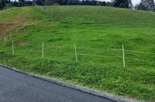 Grundstück zu kaufen in Bachlehenweg 900, 5752 Viehhofen, Bauplatz in bester Lage in Viehhofen