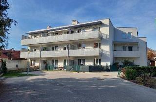 Wohnung mieten in Hermannspl. 5/12, 2560 Berndorf, Geförderte 2-Zimmer Wohnung in Miete | Betreutes Wohnen | Terrasse