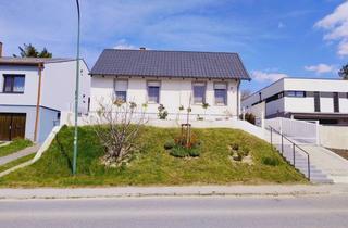 Einfamilienhaus kaufen in Hainburg An Der Donau, 2405 Bad Deutsch-Altenburg, Neuwertiges Wohnhaus nach Komplettsanierung in Bad Deutsch Altenburg zu verkaufen