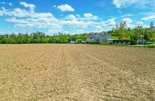 Grundstück zu kaufen in 4483 Hargelsberg, GRUND ZUM GLÜCK - Baulandprojekt Hargelsberg Parzelle Nr. 4 mit 755 m²