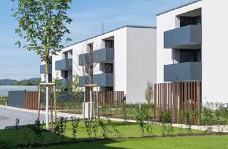 Wohnung kaufen in 6800 Feldkirch, Jetzt bezugsfertig! Wunderbare 3-Zimmer-Eck-Terrassen-Whg. in Feldkirch-Altenstadt "Küchlerstraße 17" zu verkaufen!
