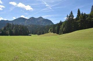 Mehrfamilienhaus kaufen in 6395 Hochfilzen, Mehrparteienhaus in Hochfilzen