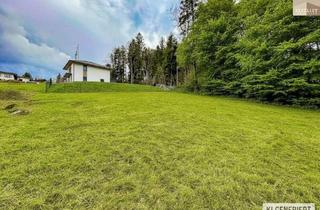 Grundstück zu kaufen in 2572 Kaumberg, Idyllisches Baugrundstück am "Sonnenhang"
