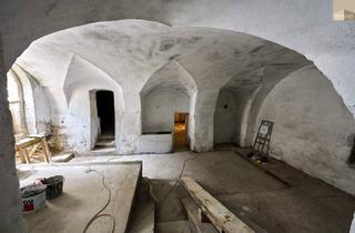 Gewerbeimmobilie mieten in 2511 Pfaffstätten, Historischer Keller zur vielseitigen Nutzung