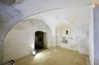 Gewerbeimmobilie mieten in 2511 Pfaffstätten, Variabler Lagerraum in Pfaffstätten mit eigenem Eingang