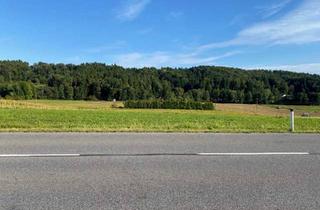 Grundstück zu kaufen in 8076 Vasoldsberg, Gewerbegrundstück und Freiland in gefragter Lage nahe Graz