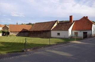 Bauernhäuser zu kaufen in 3763 Unterthumeritz, Schmiede - Bauernhaus mit vielfältigen Nebengebäuden und Ausbaupotential