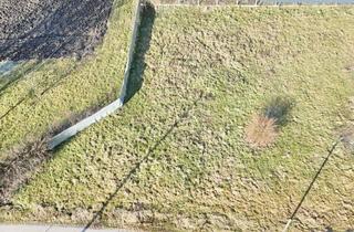 Grundstück zu kaufen in 4611 Buchkirchen, Günstiges Grundstück mit genehmigter Doppelhaushälfte in Buchkirchen!