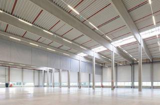 Lager mieten in 9800 Spittal an der Drau, Neuwertige Gewerbehalle - Ihr Erfolg beginnt hier!